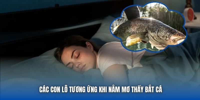 Các con lô tương ứng khi nằm mơ thấy bắt cá