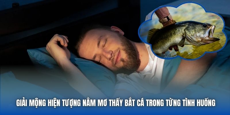 Giải mộng hiện tượng nằm mơ thấy bắt cá trong từng tình huống