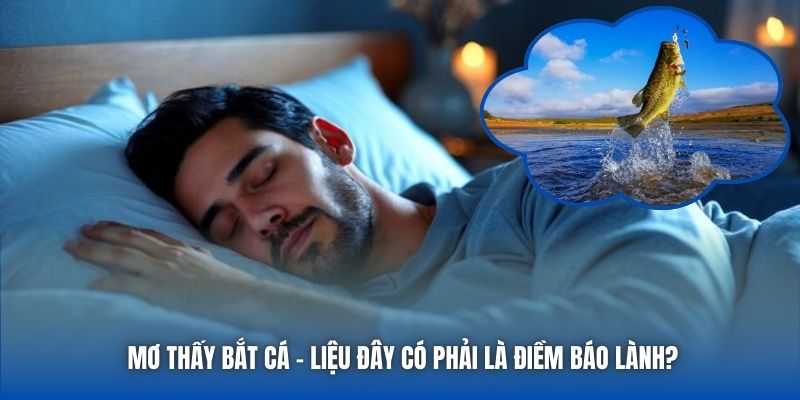 Mơ Thấy Bắt Cá - Liệu Đây Có Phải Là Điềm Báo Lành?