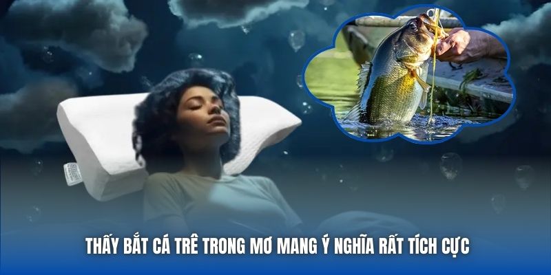 Thấy bắt cá trê trong mơ mang ý nghĩa rất tích cực