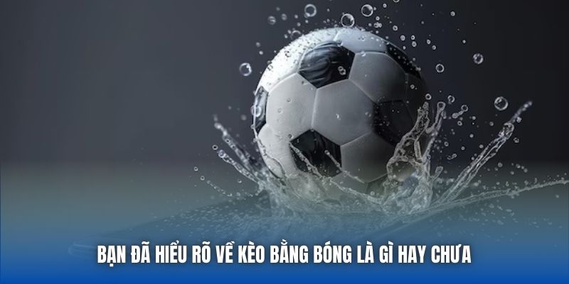 Bạn đã hiểu rõ về kèo bằng bóng là gì hay chưa