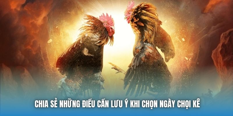 Chia sẻ những điều cần lưu ý khi chọn ngày chọi kê