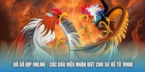 Đá Gà Bịp Online - Các Dấu Hiệu Nhận Biết Cho Sư Kê Từ 99OK