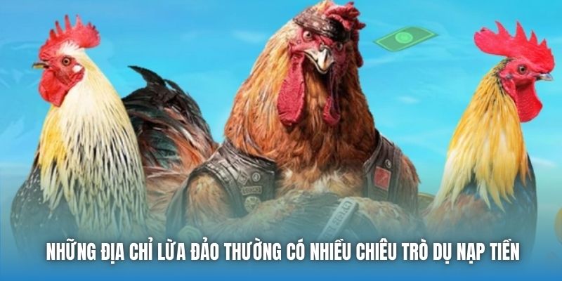 Những địa chỉ lừa đảo thường có nhiều chiêu trò dụ nạp tiền