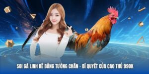 Soi Gà Linh Kê Bằng Tướng Chân - Bí Quyết Của Cao Thủ 99OK