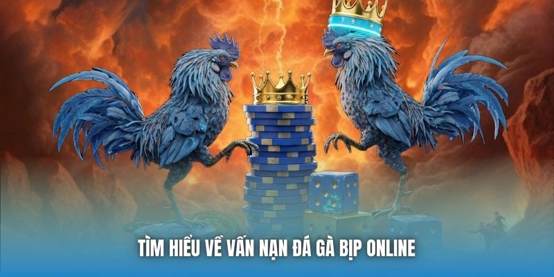 Tìm hiểu về vấn nạn đá gà bịp online 