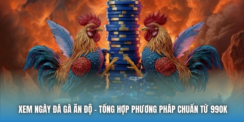 Xem Ngày Đá Gà Ăn Độ - Tổng Hợp Phương Pháp Chuẩn Từ 99OK